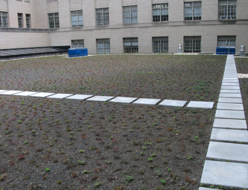 Hoover Building, Green Roof 